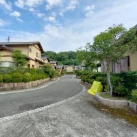 道路