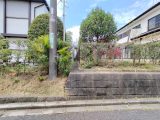 IMG20250424112602