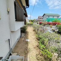 IMG20250424113441