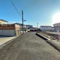 IMG20250215074246